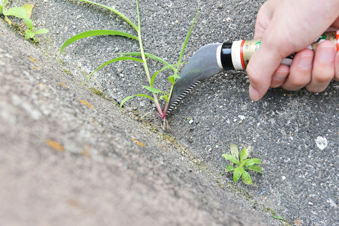 【Banshu Hamono】Weeding Sickle