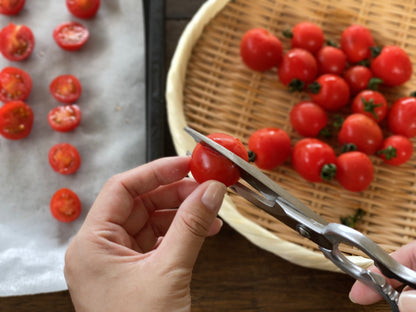 【Banshu Hamono】Kitchen Scissors / Chef Kitchen